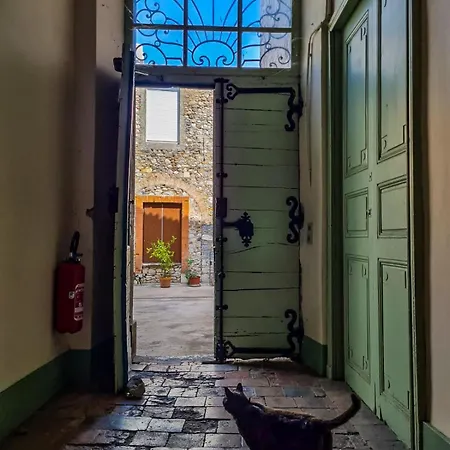 公寓 Sur Patio
